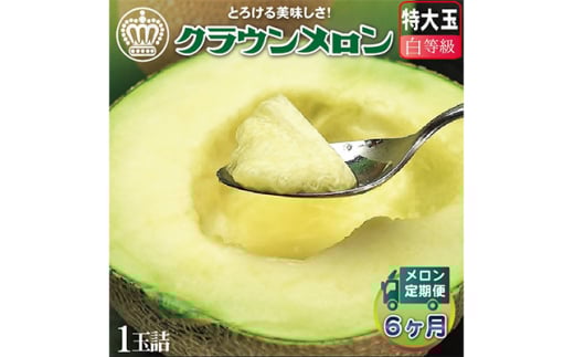<毎月定期便>クラウンメロン(白等級) 特大玉 1玉 全6回【4012658】