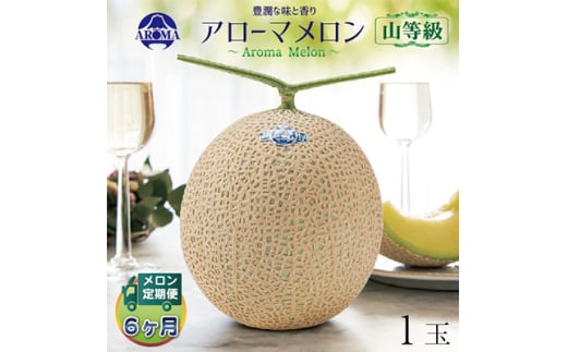 <毎月定期便>アローマメロン(山等級) 1玉 全6回【4012999】