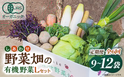 ＜毎月定期便＞しあわせ野菜畑の有機野菜　Lセット　(安心の有機JAS認証　オーガニック野菜)全6回【4066010】
