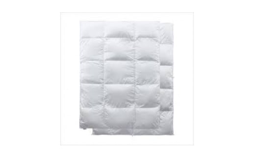 フランスベッド社 ポーランド産グースダウン95% 2枚掛け羽毛布団 ダブルサイズ「CS-04」【1621146】