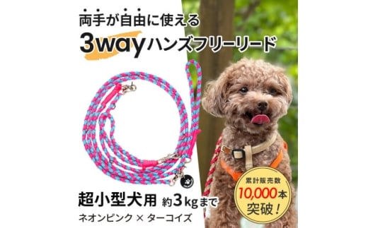 ＜犬用リード＞3WAYハンズフリーリード(超小型犬用)ネオンピンク×ターコイズ＜ゴールデンママ＞【1625460】