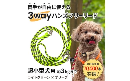 ＜犬用リード＞3WAYハンズフリーリード(超小型犬用)ライトグリーン×オリーブ＜ゴールデンママ＞【1663366】