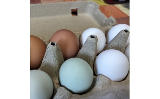 みんなのたまご 赤玉、白玉、青玉、三色の卵の詰め合わせ【1670732】