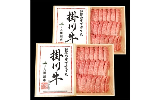 掛川牛(黒毛和種)カルビ焼肉用 500g×2(冷凍)【1670602】