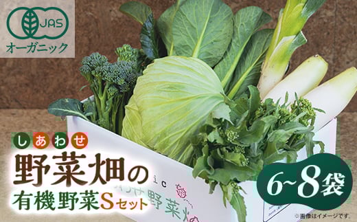 しあわせ野菜畑の有機野菜　Sセット　(安心の有機JAS認証　旬のオーガニック野菜　農場直送便)【1493486】