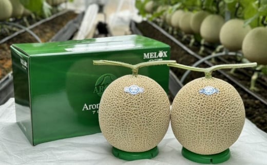 静岡暗室マスクメロン アローマ印　　　　　山級約1.45kg以上　2玉【1502265】