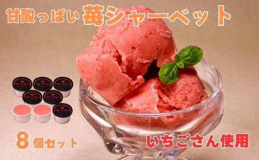 ＜先行予約受付中・令和8年5月初旬以降順次発送＞苺そのままの甘酸っぱさ！プレミアム苺シャーベット 8個［A13735］