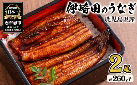 【数量限定】鹿児島県産 伊崎田のうなぎ蒲焼 <130g以上>× 2尾(計260g以上)  鰻 うなぎ ウナギ 蒲焼き 2尾 国産 九州産 鹿児島県産 冷凍 おつまみ 鰻重 うな丼 a4-082