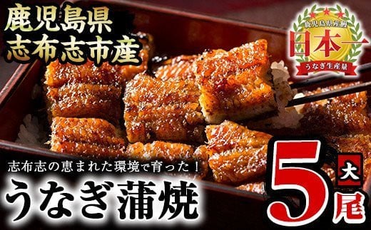 うなぎの大楠＜大＞5尾セット計750g(150g×5尾) うなぎ 鰻 ウナギ 国産 九州産 蒲焼き かばやき 冷凍 うな重 ひつまぶし タレ 山椒 真空パック ランキング 人気 c4-009