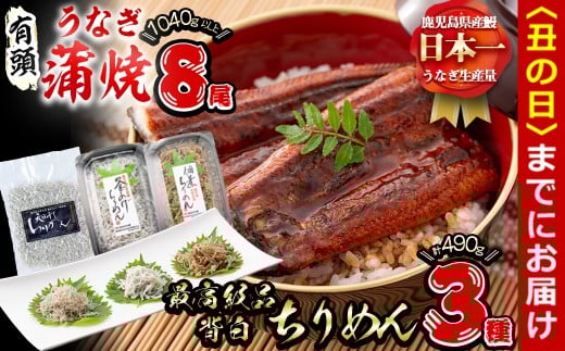 【丑の日までに配送】極うなぎ蒲焼130g以上×8尾(計1040g以上)+佃煮ちりめん90g+釜揚げちりめん100g×3個+ちりめん100g うなぎ 鰻 ウナギ 蒲焼 8尾 真空パック 鰻重 うな丼 ちりめん しらす ちりめんじゃこ e7-020-us