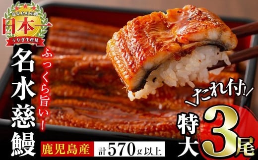 [二の丑(7/31)までに配送]鹿児島県産うなぎ蒲焼 名水慈鰻 特大3尾(1尾190g以上)[計570g以上] うなぎ 鰻 ウナギ 3尾 国産 蒲焼 かばやき 冷凍 真空 真空パック 無頭 うな重 ひつまぶし タレ 山椒 b1-023-us2