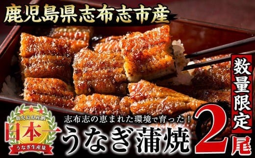 [二の丑(7/31)までに配送][数量限定]うなぎの大楠[小]2尾セット計220g以上(110g以上×2) a1-071-us2