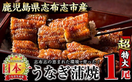 [二の丑(7/31)までに配送][数量限定]うなぎの大楠[超特大]1尾190g a2-075-us2