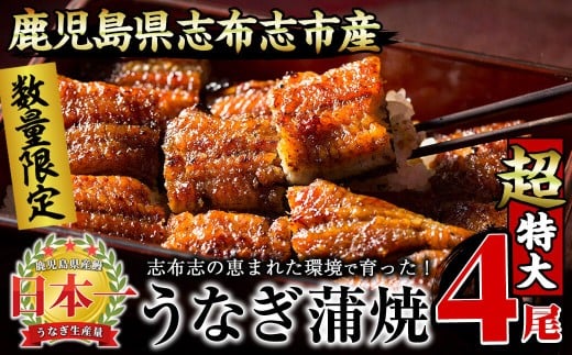 [二の丑(7/31)までに配送][数量限定]うなぎの大楠[超特大]4尾セット計760g以上(190g×4) c3-022-us2