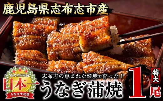 [二の丑(7/31)までに配送]うなぎの大楠[特大]1尾170g a1-104-us2