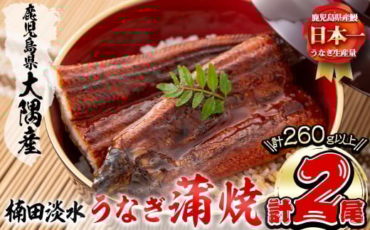 [二の丑(7/31)までに配送]楠田の極うなぎ蒲焼き130g以上×2尾(計260g以上) 山椒付たれ 鰻 ウナギ 蒲焼 うな重 ひつまぶし 鹿児島 冷凍 おかず お祝い a4-093-us2
