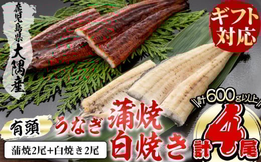 [二の丑(7/31)までに配送][ギフト対応]楠田の極うなぎ 蒲焼き2尾・白焼き2尾 150g以上×4尾(計600g以上) b6-009-us2
