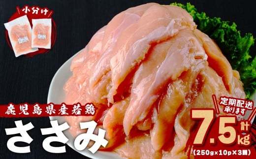 小分けで便利!鹿児島県産若鶏ささみ2.5㎏(250g×10P)3ヶ月定期便 鶏肉 とり肉 鳥肉 ささみ 鳥ささみ 鶏 鹿児島県産 ヘルシー ダイエット 低カロリー 若鶏 保存 カット カット済 定期便 頒布会 小分け 真空パック t0030-029