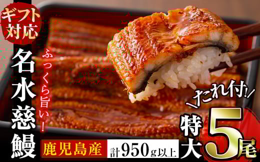 【お歳暮】鹿児島県産うなぎ蒲焼 名水慈鰻 特大5尾(1尾190g以上)<計950g以上> c5-037-os