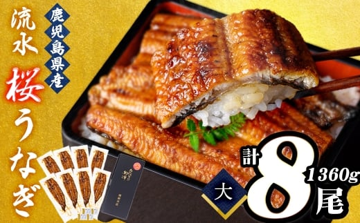 熟練の技が冴える！うなぎの柳澤 流水桜うなぎの蒲焼き8尾(計1360g) f0-023