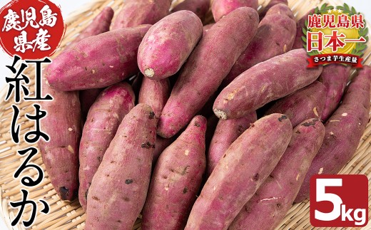 a5-063 鹿児島県産熟成さつまいも「紅はるか」5kg
