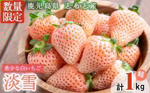 鹿児島県産いちご!特別栽培農産物 いちごの村から朝摘み「淡雪」4Pセット(計1kg・約270g×4P)  b5-045