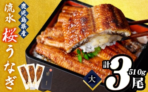 熟練の技が冴える!うなぎの柳澤 流水桜うなぎの蒲焼き3尾(計510g) b2-016