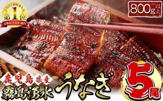 [2025年8月末までに配送][数量限定][お礼の品人気No1]霧島湧水鰻の蒲焼き 160g以上×5尾[計800g以上] うなぎ 鰻 ウナギ 5尾 国産 九州産 蒲焼き かばやき 冷凍 うな重 ひつまぶし タレ 山椒 ランキング 人気 b8-038-08