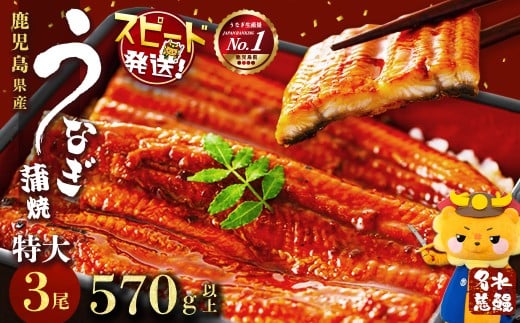 鹿児島県産うなぎ蒲焼 名水慈鰻 特大3尾(1尾190g以上)＜計570g以上＞　うなぎ 鰻 ウナギ 3尾 国産 蒲焼 かばやき 冷凍 真空 真空パック 無頭 うな重 ひつまぶし タレ 山椒 b1-023