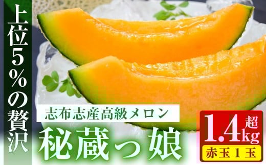 【冬限定】極上メロン「秘蔵っ娘」赤玉(赤肉)1個 メロン マスクメロン 果物 くだもの デザート 赤肉 a5-060-w