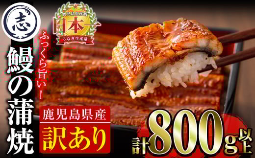 【訳あり・数量限定】復活！不揃いのうなぎ達 計800g以上(鹿児島県産 鰻の蒲焼き)　うなぎ 鰻 ウナギ 不揃い ふぞろい 訳アリ 国産 九州産 蒲焼 蒲焼き かばやき 冷凍 うな重 ひつまぶし 人気 b2-040