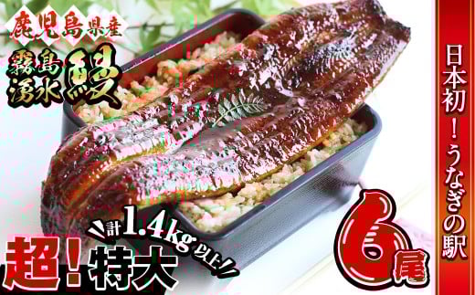 【数量限定】超特大！鹿児島県産 山田水産の霧島湧水鰻(計1400g以上・236g以上×6尾) うなぎ 鰻 ウナギ 6尾 国産 九州産 蒲焼き かばやき 冷凍 うな重 ひつまぶし タレ 山椒 人気 c5-039