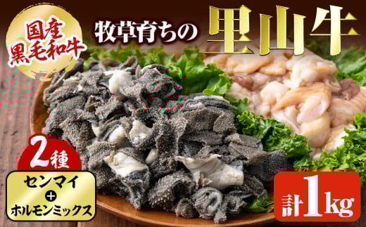 国産黒毛和牛 牧草育ちの里山牛 センマイ・ホルモンミックス計1kg 黒毛和牛 和牛 肉 牛肉 国産 ホルモン センマイ もつ 焼肉 BBQ a5-277