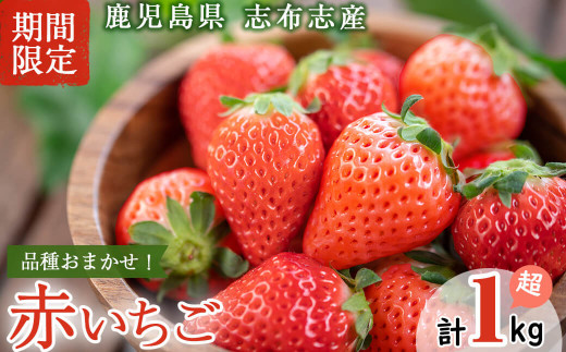 鹿児島県産いちご! 品種おまかせ赤いちご4Pセット(計1kg・約270g×4P) a5-168