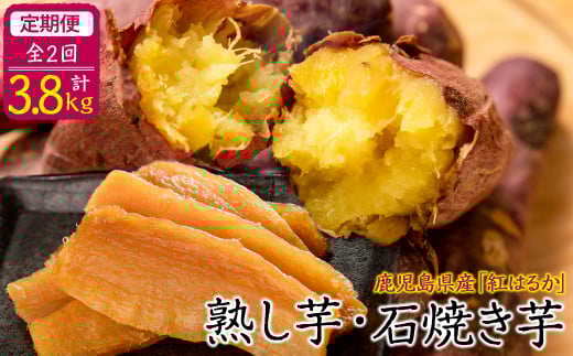 【定期便全2回】鹿児島県産紅はるかで作った熟し芋と石焼き芋のお楽しみ便＜計3.8kg＞ t0032-002