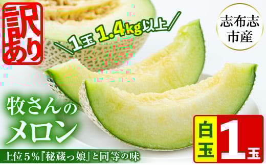 【冬限定・数量限定】牧さんの訳ありメロン 白玉(青肉)1玉 メロン マスクメロン 果物 くだもの デザート 赤肉 訳あり a1-058-w