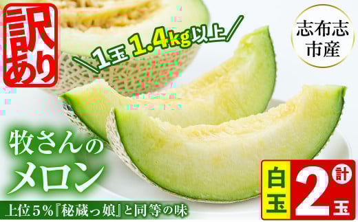 【冬限定・数量限定】牧さんの訳ありメロン 白玉(青肉)計2玉 メロン マスクメロン 果物 くだもの デザート 青肉 訳あり b0-106-w