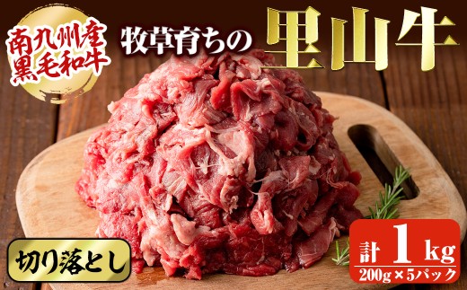 [志布志市制20周年記念][期間限定規格] 国産黒毛和牛 牧草育ちの里山牛 切り落とし計1kg(200g×5パック) 黒毛和牛 和牛 肉 牛肉 国産 切り落とし 赤身 真空パック