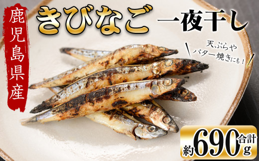 鹿児島県産 黒潮の恵み!天然物きびなご一夜干し約230g×3パック(合計約690g)a3-191