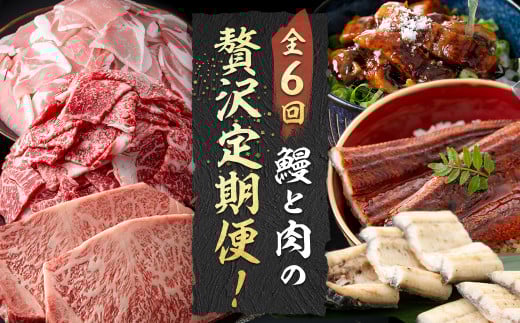 【定期便全6回】鰻と肉の贅沢定期便!鰻とお肉が交互に届くお楽しみ便  定期便 牛肉 ステーキ 鰻 豚肉 t0101-005