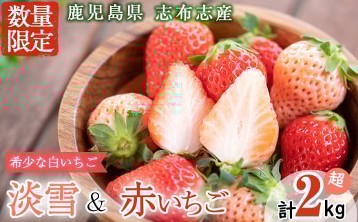 鹿児島県産いちご!志布志発祥白いちご「淡雪」4Pと季節おまかせ赤いちご4Pセット(計2kg・約270g×8P)  c0-015