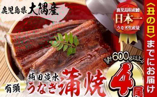 [丑の日までに配送]楠田の極うなぎ 蒲焼き150g以上×4尾(計600g以上) b6-011-us