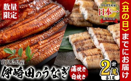 [丑の日までに配送][数量限定]鹿児島県産 伊崎田のうなぎ蒲焼き&白焼きセット(計2尾/各1尾/計270g以上) a5-240-us