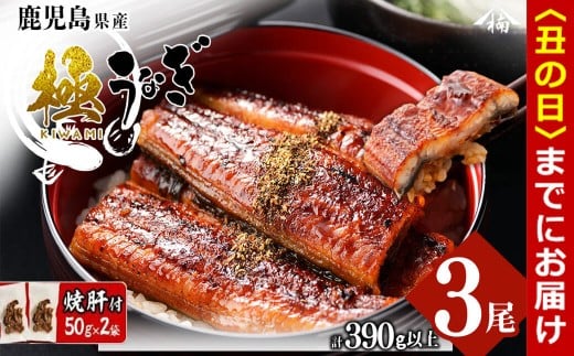 【丑の日までに配送】楠田の極うなぎ蒲焼き 130g以上×3尾(計390g以上) 焼肝2袋付き b0-040-us