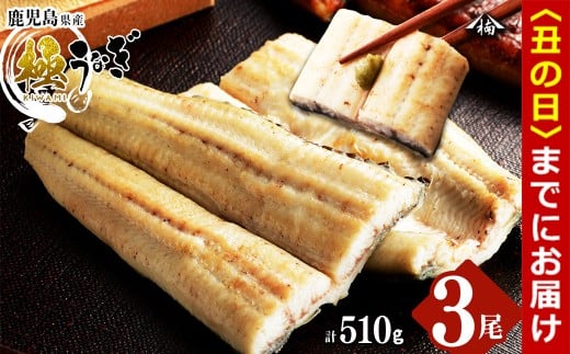 【丑の日までに配送】楠田の極うなぎ 白焼き 170g以上×3尾(計510g以上) b2-012-us