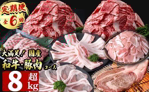 【定期便全6回】大満足!和牛・豚肉定期便(6ヶ月連続・総量8kg以上) 黒毛和牛 国産牛 九州産 豚 豚肉 肉 牛肉 国産 しゃぶしゃぶ 豚バラ 切り落し 大容量 人気 4等級 小分け 真空包装 t0078-003