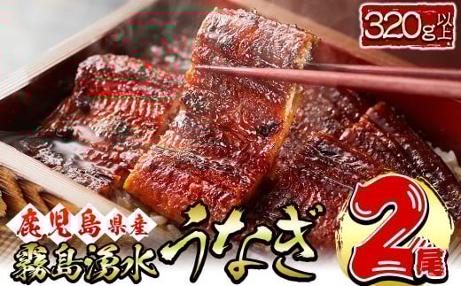 【志布志市人気No.1お礼の品】霧島湧水鰻の蒲焼き 160g以上×2尾＜計320g以上＞ うなぎ 鰻 ウナギ 2尾 国産 九州産 蒲焼き かばやき 冷凍 うな重 ひつまぶし タレ 山椒 ランキング 人気 a3-229