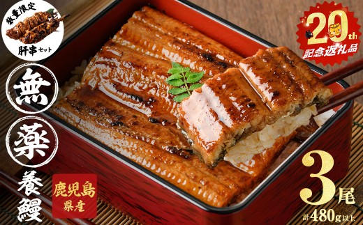 【無薬養鰻】 鹿児島産 山田のうなぎ ＜計480g以上＞（160g以上×3尾） 肝串セット うなぎ 鰻 ウナギ 無薬 養鰻 無投薬 3尾 国産 九州産 蒲焼き かばやき 冷凍 うな重 ひつまぶし タレ 山椒 a6-062-km