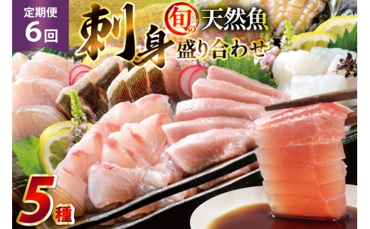 刺身 盛り合わせ 旬の天然魚の刺身盛り 5種 2～3人前 6回 定期便 総計12～18人前 詰め合わせ セット [囲炉裏料理エビス亭 長崎県 平戸市 hr42bgy390046] さしみ 厳選 マダイ 真鯛 本マグロ 天然 まぐろ 鮪 冷凍 寿司 すし