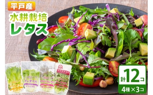 レタス 水耕栽培 4種 12袋 セット 食べ比べ 詰め合わせ  [モロフジファーム 長崎県 平戸市 hr42bgy420323] サラダ 産地直送 個包装 小分け 野菜 フレッシュ 健康志向 緑黄色野菜